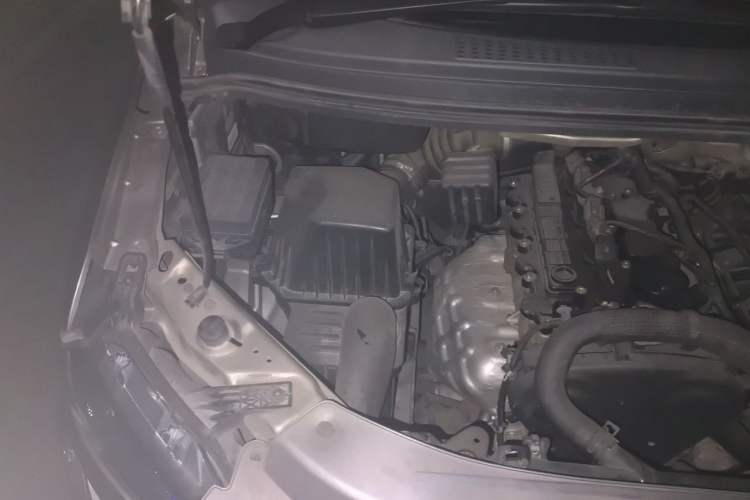 Used FORTHING Lingzhi 2022 Striving Version M5L 2.0L Luxury 7-Seater Engine Bay Right