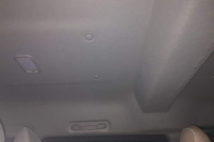 Used FORTHING Lingzhi 2022 Striving Version M5L 2.0L Luxury 7-Seater Headliner