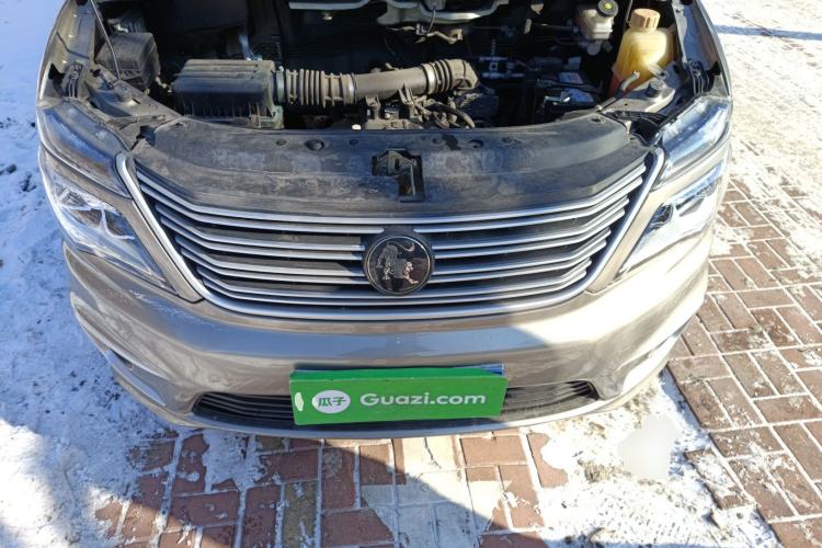 Used FORTHING Lingzhi 2022 M5L 1.6L Utility Model 7 Seats Engine Bay