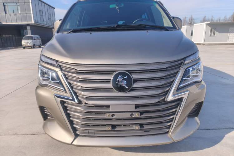 Used FORTHING Lingzhi 2022 Striving Version M5L 1.6L Base Model 9-Seater Exterior 2