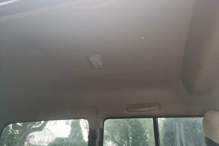 Used FORTHING Lingzhi  Headliner