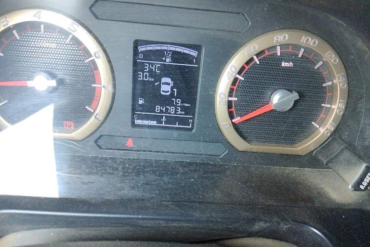 Used FORTHING Lingzhi 2022 Striving Version M5L 1.6L Base Model 9-Seater Odometer Close Up