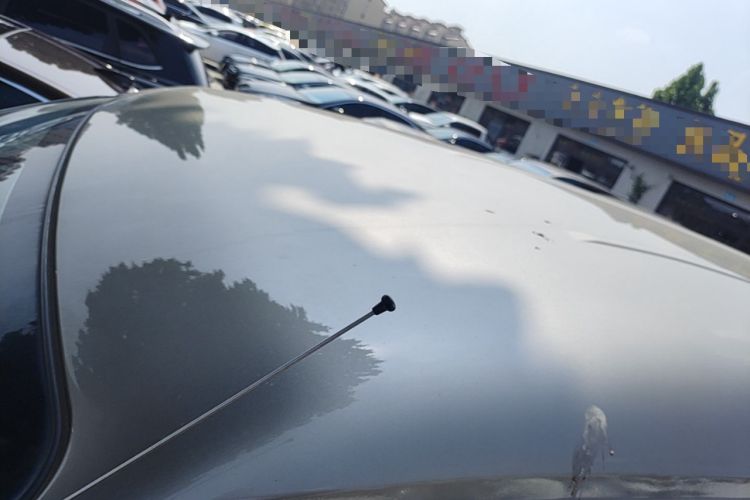 Used FORTHING Lingzhi 2022 Revised Version Striving Edition M5L 2.0L Base Model 9-Seater Roof
