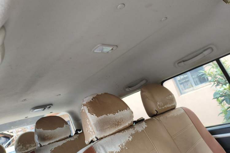 Used FORTHING Lingzhi 2022 Revised Version Striving Edition M5L 2.0L Base Model 9-Seater Headliner