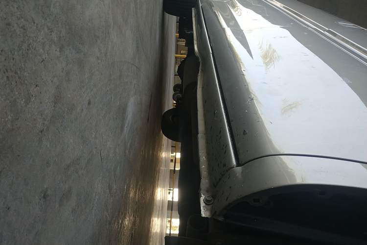 Used FORTHING Lingzhi 2022 Striving Version M5L 2.0L Basic Model 9-Seater Right Side Sill
