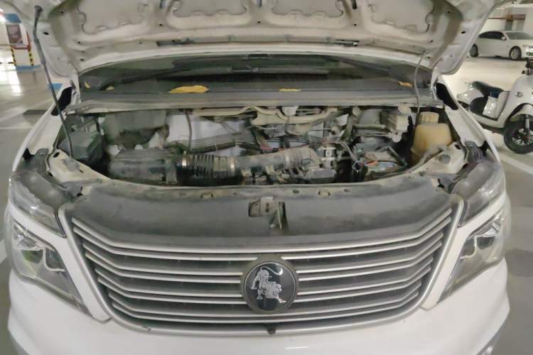 Used FORTHING Lingzhi 2022 V3 1.6L Base Model 2 Seats Engine Bay