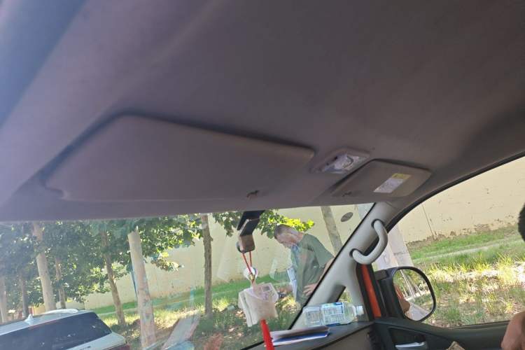 Used FORTHING Lingzhi 2022 V3 1.6L Base Model 2 Seats Headliner