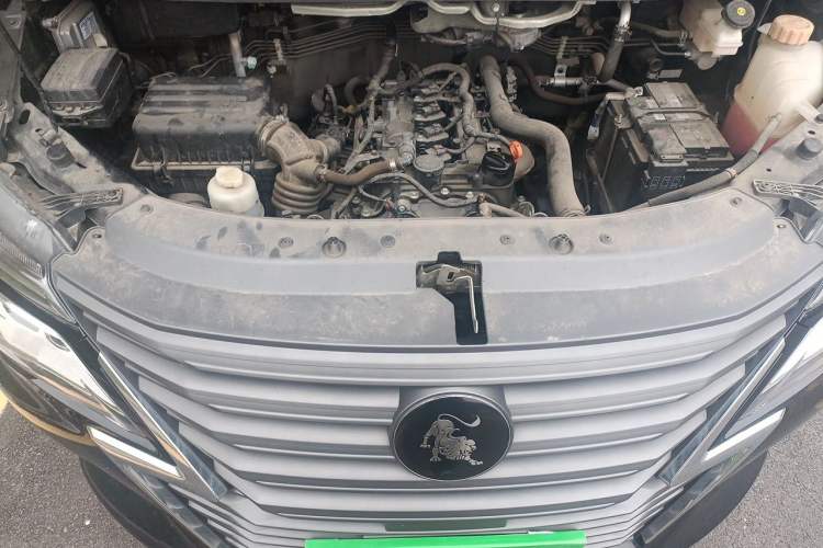 Used FORTHING Lingzhi 2023 M5L 1.6L Base Model 5 Seats Engine Bay