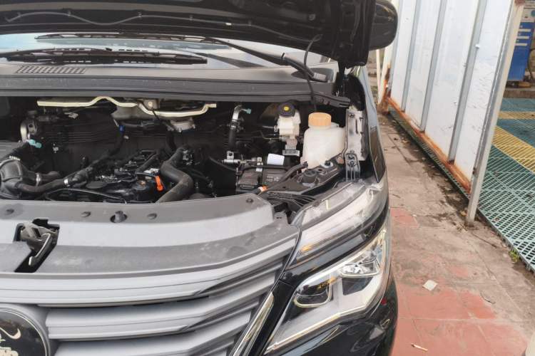 Used FORTHING Lingzhi 2023 M5L 1.6L Base Model 5 Seats Engine Bay Left