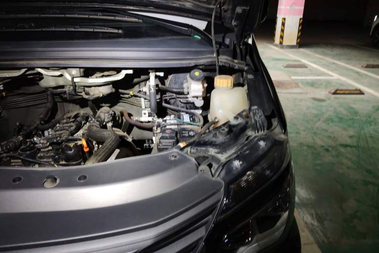 Used FORTHING Lingzhi 2023 M5L 1.6L Base Model 5 Seats Engine Bay Left
