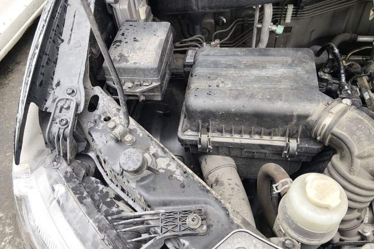 Used FORTHING Lingzhi 2023 M5L 1.6L Base Model 5 Seats Engine Bay Right