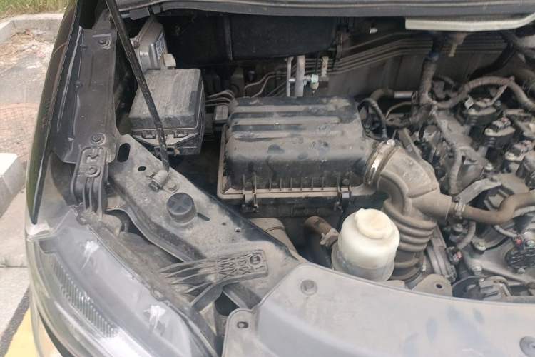 Used FORTHING Lingzhi 2023 M5L 1.6L Base Model 5 Seats Engine Bay Right