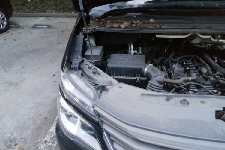 Used FORTHING Lingzhi 2023 M5L 1.6L Comfort 9-Seater Engine Bay Right