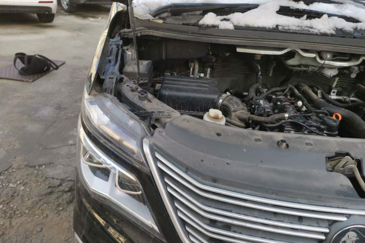 Used FORTHING Lingzhi 2023 V3 1.6L Base Model 2 Seats Engine Bay Right
