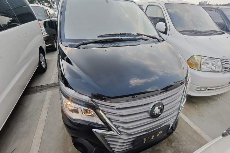 Used FORTHING Lingzhi 2023 M5L 1.6L Base Model 7 Seats Front