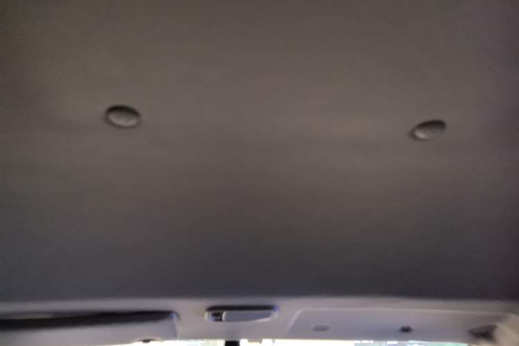 Used FORTHING Lingzhi 2023 M5 1.6L Practical Model 5 Seats Headliner