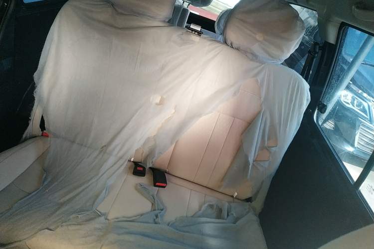 Used FORTHING Lingzhi 2023 M5L 1.6L Base Model 7 Seats Left Rear Seat