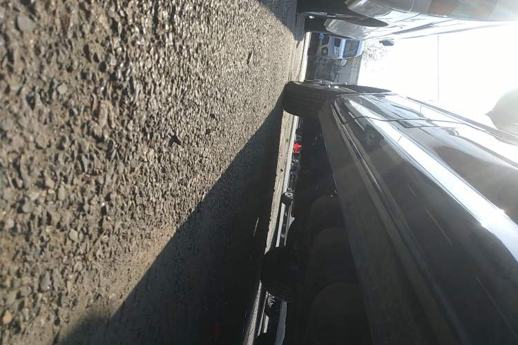Used FORTHING Lingzhi 2023 M5L 1.6L Base Model 7 Seats Left Side Sill
