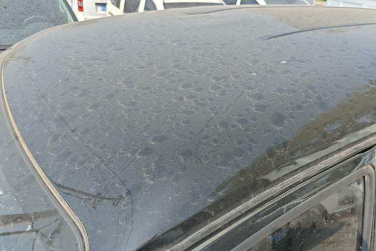 Used FORTHING Lingzhi 2023 M5L 1.6L Comfort 9-Seater Roof