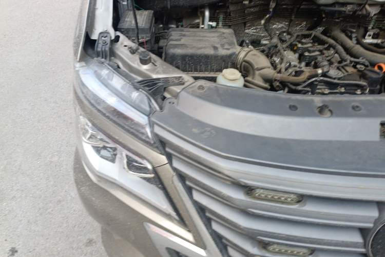 Used FORTHING Lingzhi 2023 M5L 1.6L Base Model 7 Seats Engine Bay Right