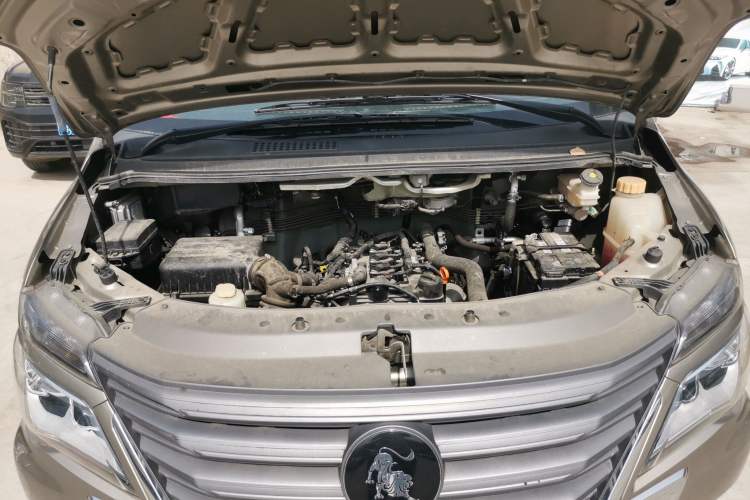 Used FORTHING Lingzhi 2023 M5L 1.6L Base Model 5 Seats Engine Bay