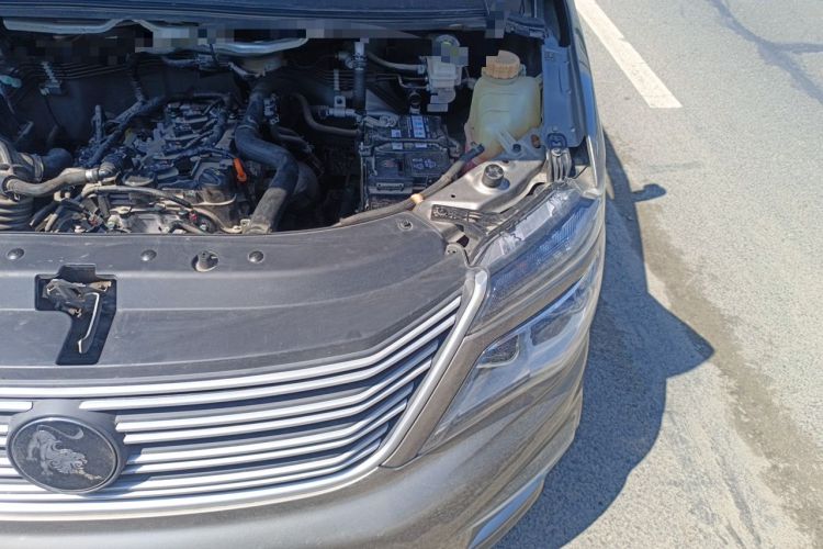 Used FORTHING Lingzhi 2023 V3 1.6L Base Model 2 Seats Engine Bay Left