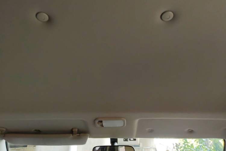 Used FORTHING Lingzhi 2023 M5L 1.6L Base Model 7 Seats Headliner