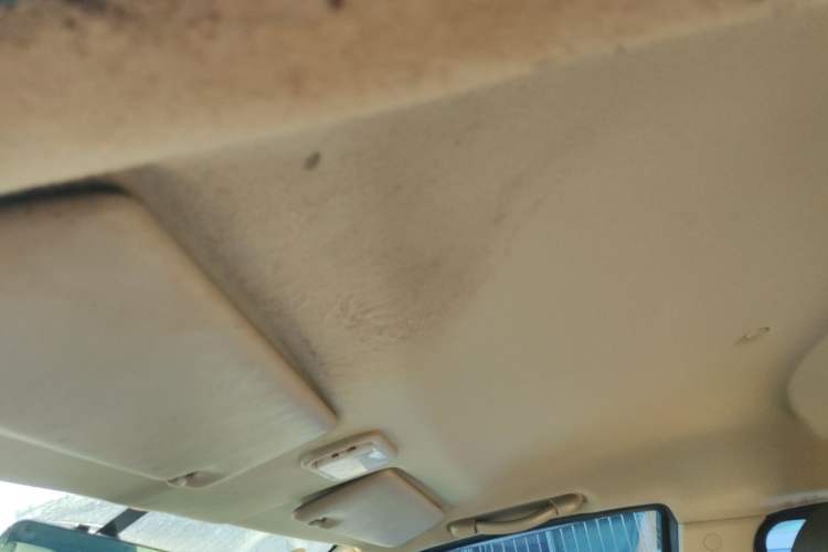 Used FORTHING Lingzhi 2023 M5L 1.6L Base Model 7 Seats Headliner