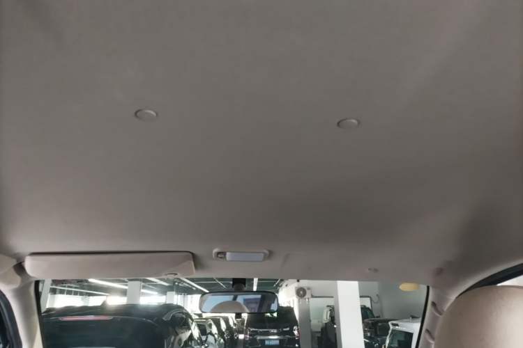 Used FORTHING Lingzhi 2023 M5 1.6L Practical Model 5 Seats Headliner