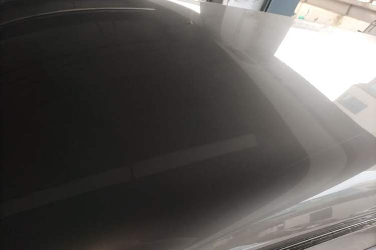 Used FORTHING Lingzhi 2023 M5 1.6L Practical Model 5 Seats Roof