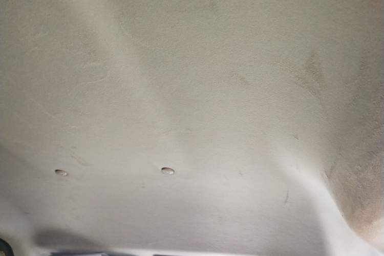 Used FORTHING Lingzhi 2023 M5 1.6L Practical Model 5 Seats Headliner