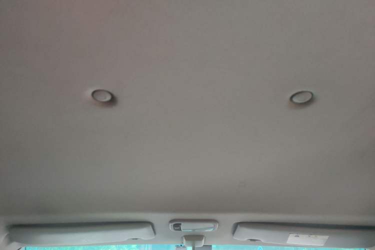Used FORTHING Lingzhi M5 2018 Comfort Model Headliner