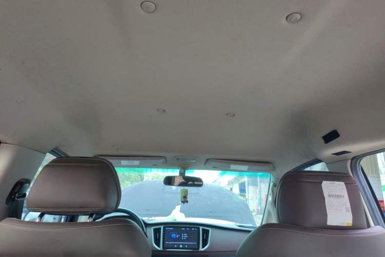 Used FORTHING Lingzhi M5 2018 Comfort Model Headliner