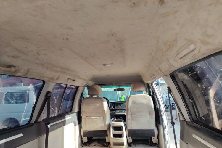 Used FORTHING Lingzhi M5 2018 Comfort Model Headliner