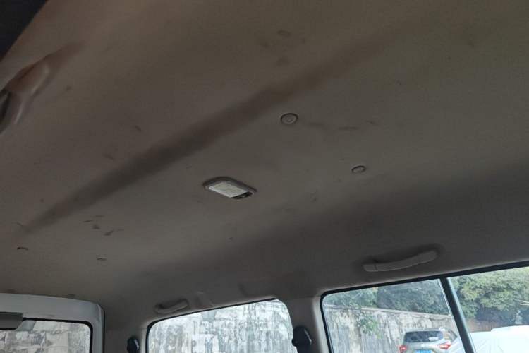 Used FORTHING Lingzhi M5 2018 Comfort Model Headliner