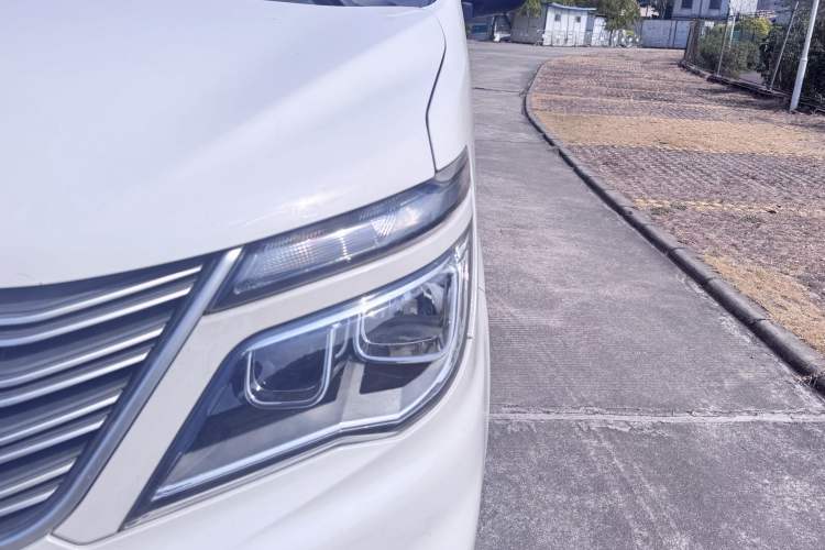 Used FORTHING Lingzhi M5 2019 Comfort Model 7 Seats Exterior 6
