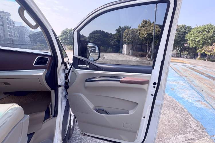 Used FORTHING Lingzhi M5 2019 Comfort Model 7 Seats Interior 12