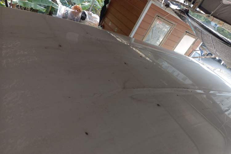 Used FORTHING Lingzhi M5 2019 Comfort Model 7 Seats Roof