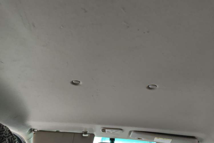 Used FORTHING Lingzhi M5 2020 Long-Range Version Comfort Model 7 Seats Headliner