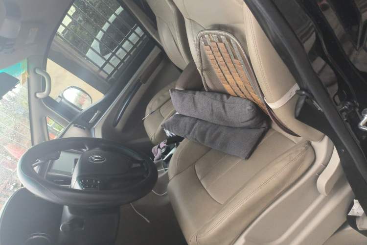 Used FORTHING Lingzhi M5 2020 Long-Range Luxury 7-Seater Model Left Front Seat