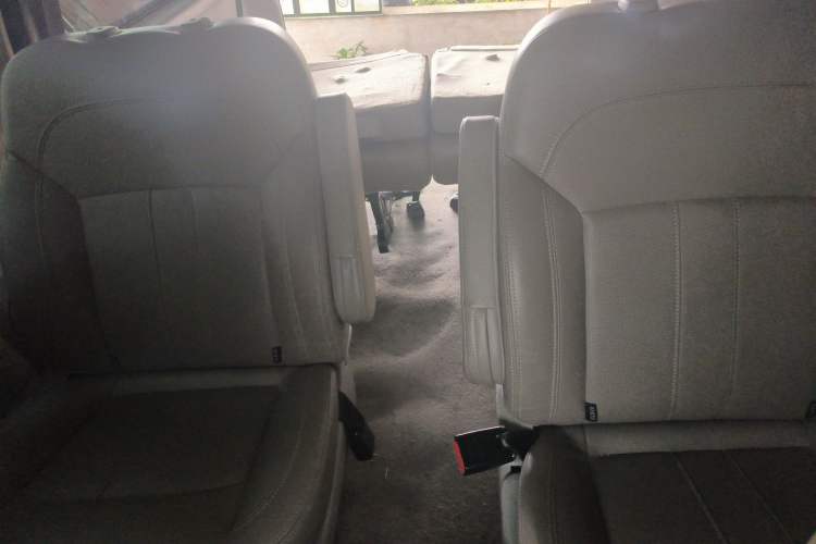 Used FORTHING Lingzhi M5 2020 Long-Range Luxury 7-Seater Model Left Rear Seat