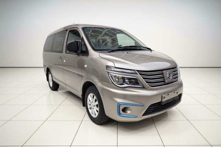 Used FORTHING Lingzhi M5 2020 Long-Range Luxury 7-Seater Model Exterior 1
