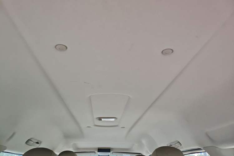 Used FORTHING Lingzhi M5 2020 Long-Range Luxury 7-Seater Model Headliner