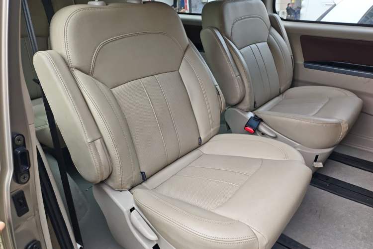 Used FORTHING Lingzhi M5 2020 Long-Range Luxury 7-Seater Model Left Rear Seat