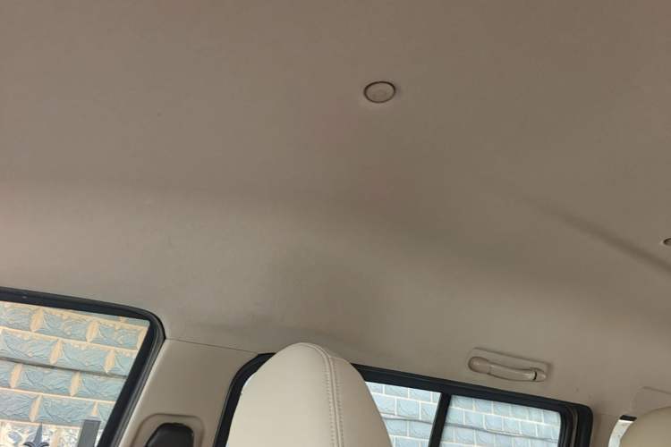 Used FORTHING Lingzhi M5 2020 Comfort Model 7 Seats Headliner