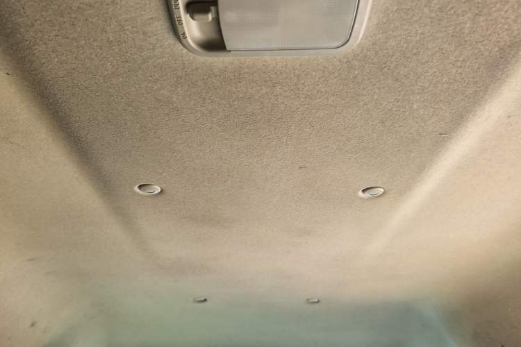 Used FORTHING Lingzhi M5 2020 Comfort Model 7 Seats Headliner