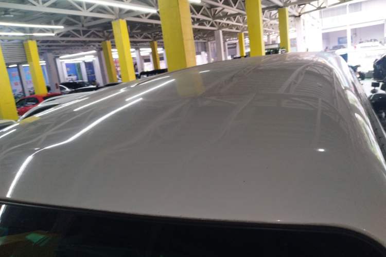 Used FORTHING Lingzhi M5 2020 Long-Range Luxury 7-Seater Model Roof