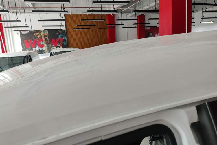 Used FORTHING Lingzhi M5 2020 Long-Range Luxury 7-Seater Model Roof