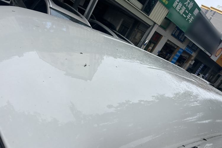 Used FORTHING Lingzhi M5 2022 Standard Version Base Model 7 Seats Exterior 5