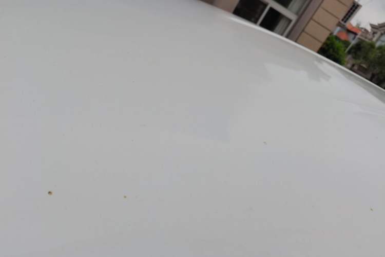 Used FORTHING Lingzhi M5 2022 Standard Version Base Model 7 Seats Roof